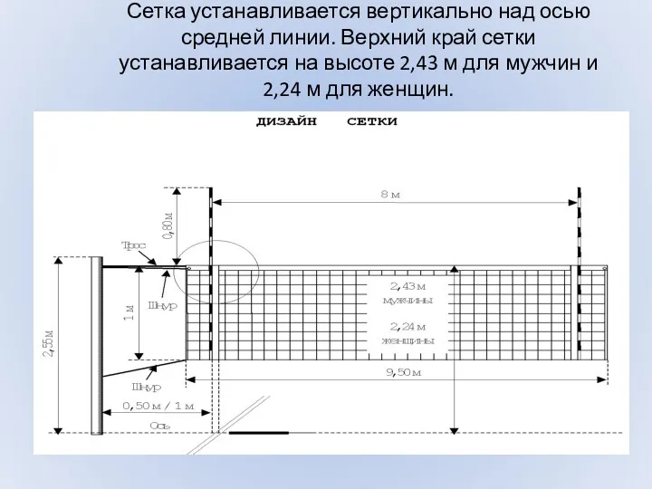 Сетка устанавливается вертикально над осью средней линии. Верхний край сетки