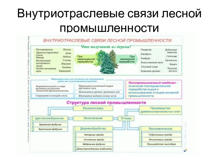 Внутриотраслевые связи лесной промышленности