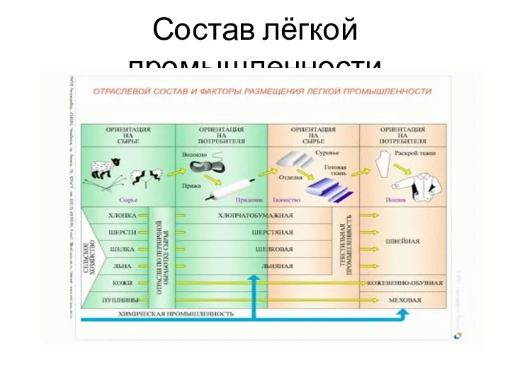 Состав лёгкой промышленности