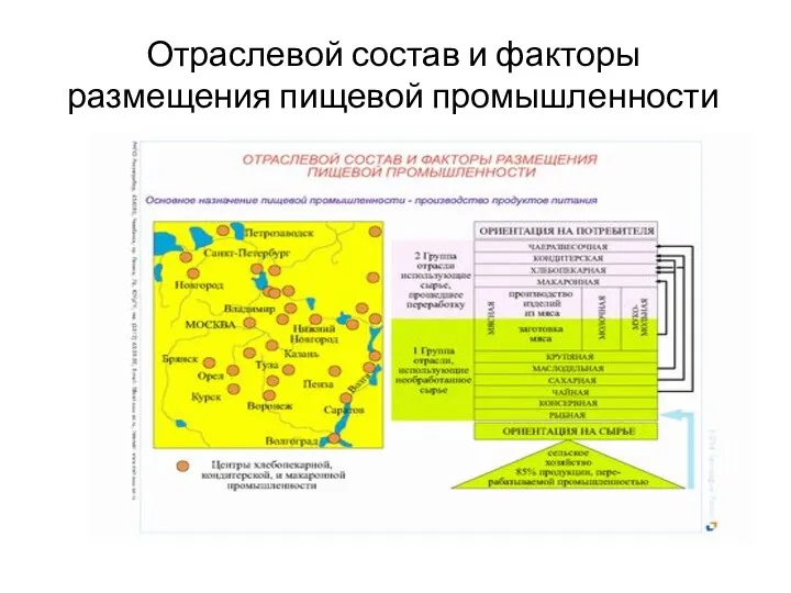 Отраслевой состав и факторы размещения пищевой промышленности