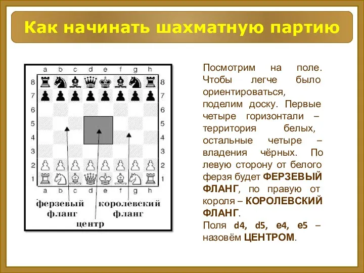 Посмотрим на поле. Чтобы легче было ориентироваться, поделим доску. Первые