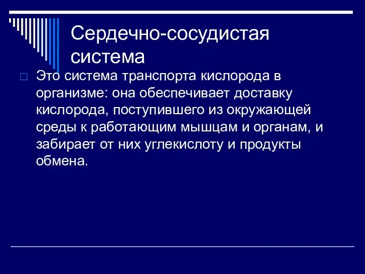 Сердечно-сосудистая система Это система транспорта кислорода в организме: она обеспечивает