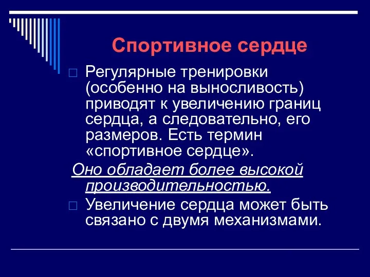 Спортивное сердце Регулярные тренировки (особенно на выносливость) приводят к увеличению