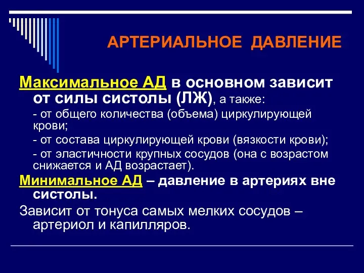 АРТЕРИАЛЬНОЕ ДАВЛЕНИЕ Максимальное АД в основном зависит от силы систолы