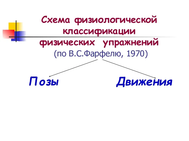 Схема физиологической классификации физических упражнений (по В.С.Фарфелю, 1970) Позы Движения