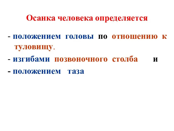 Осанка человека определяется - положением головы по отношению к туловищу.