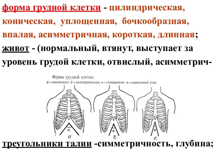 форма грудной клетки - цилиндрическая, коническая, уплощенная, бочкообразная, впалая, асимметричная,