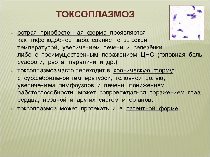 ТОКСОПЛАЗМОЗ острая приобретённая форма проявляется как тифоподобное заболевание: с высокой