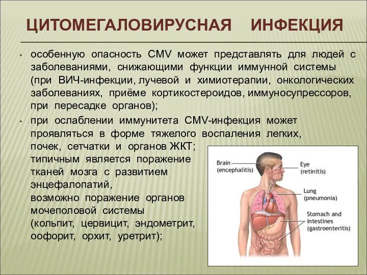 ЦИТОМЕГАЛОВИРУСНАЯ ИНФЕКЦИЯ особенную опасность CMV может представлять для людей с