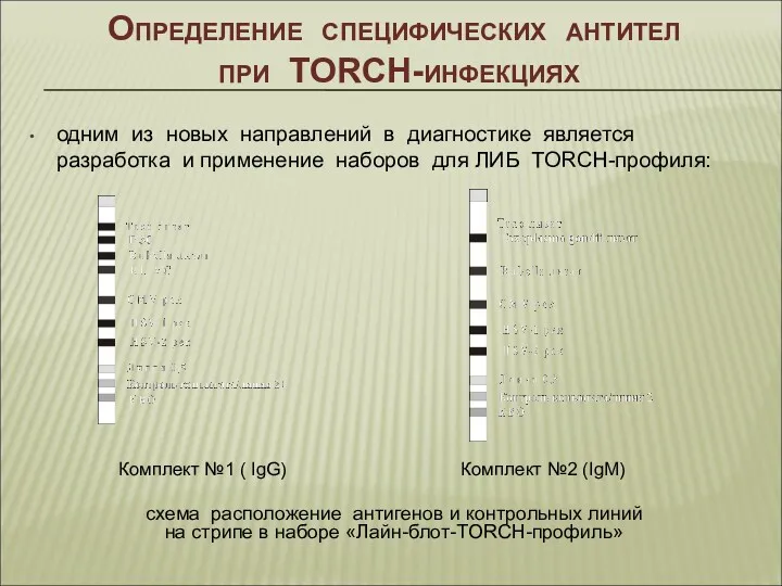 Определение специфических антител при TORCH-инфекциях одним из новых направлений в