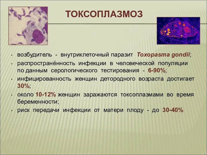 ТОКСОПЛАЗМОЗ возбудитель - внутриклеточный паразит Toxopasma gondii; распространённость инфекции в