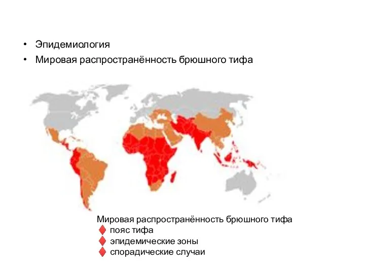 Эпидемиология Мировая распространённость брюшного тифа Мировая распространённость брюшного тифа ♦