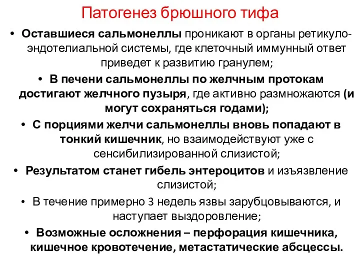 Патогенез брюшного тифа Оставшиеся сальмонеллы проникают в органы ретикуло-эндотелиальной системы,