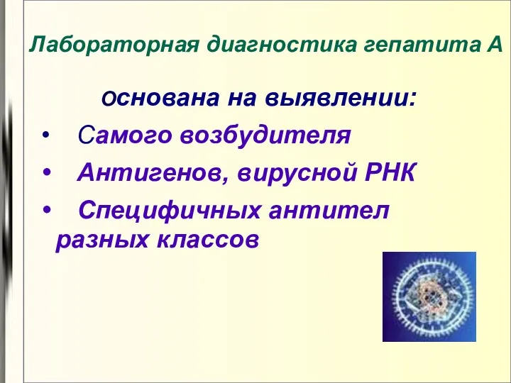 Основана на выявлении: Самого возбудителя Антигенов, вирусной РНК Специфичных антител разных классов Лабораторная диагностика гепатита А