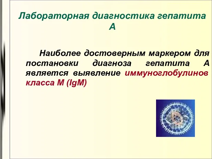 Наиболее достоверным маркером для постановки диагноза гепатита А является выявление