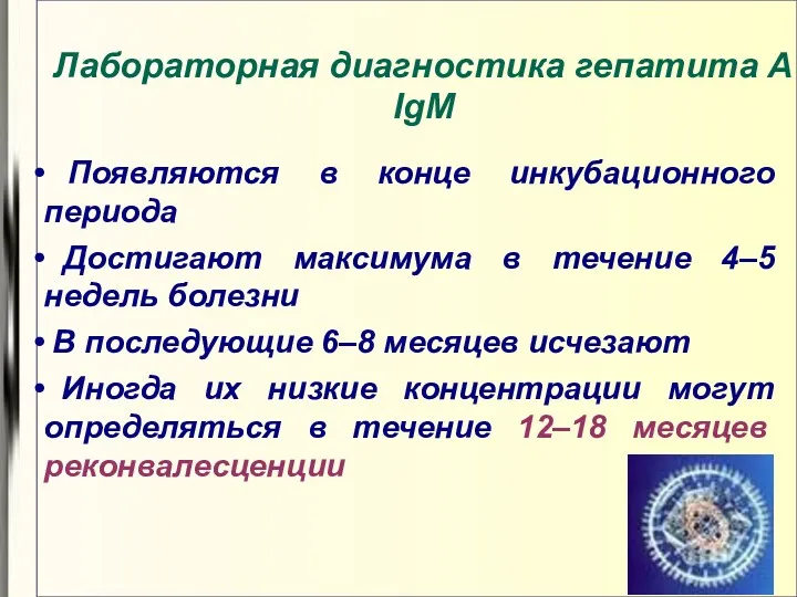 Лабораторная диагностика гепатита А IgM Появляются в конце инкубационного периода