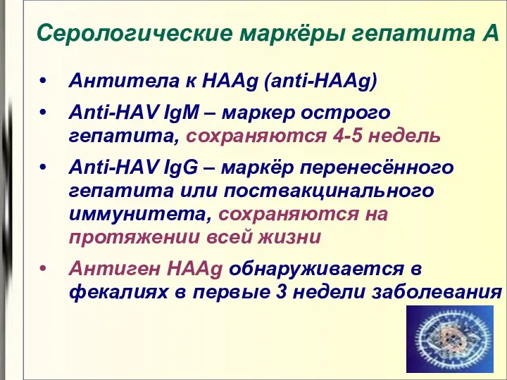 Серологические маркёры гепатита А Антитела к HАAg (anti-HААg) Аnti-HАV IgM