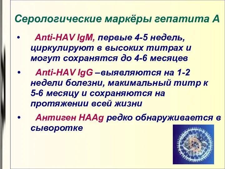 Серологические маркёры гепатита А Аnti-HАV IgM, первые 4-5 недель, циркулируют