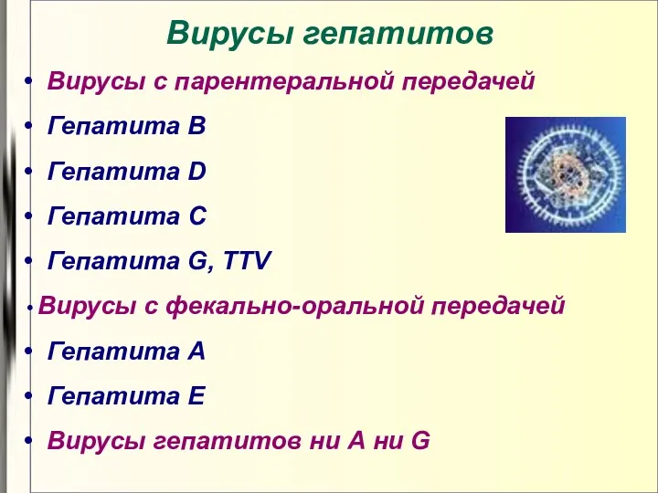 Вирусы гепатитов Вирусы с парентеральной передачей Гепатита В Гепатита D