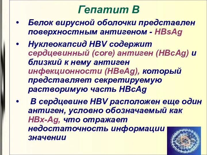 Гепатит В Белок вирусной оболочки представлен поверхностным антигеном - HBsAg