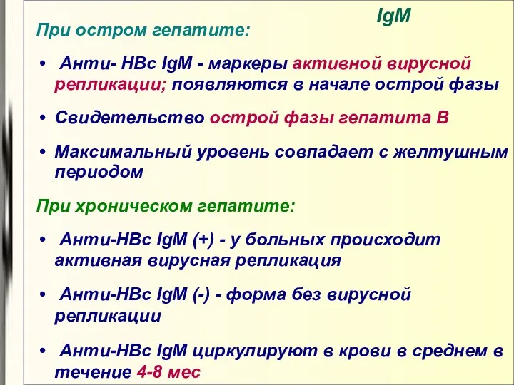 IgM При остром гепатите: Анти- HBс IgM - маркеры активной