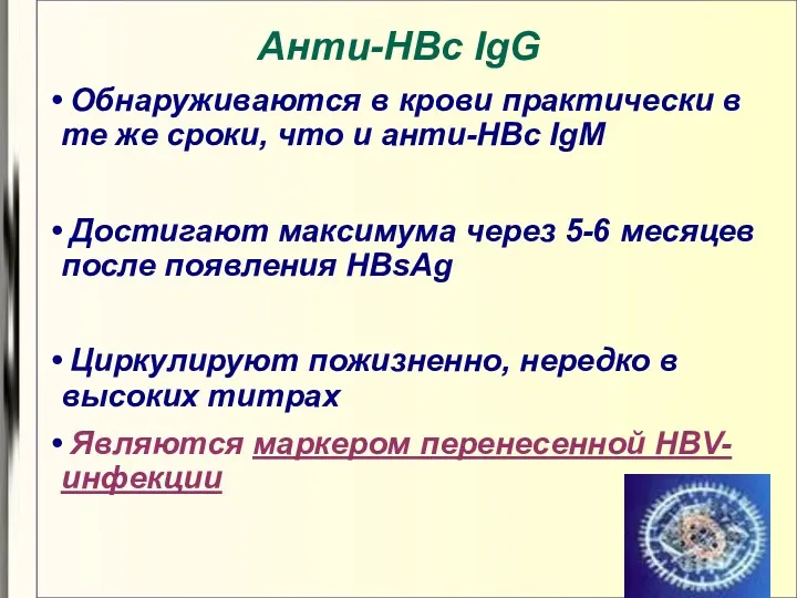 Анти-HBс IgG Обнаруживаются в крови практически в те же сроки,