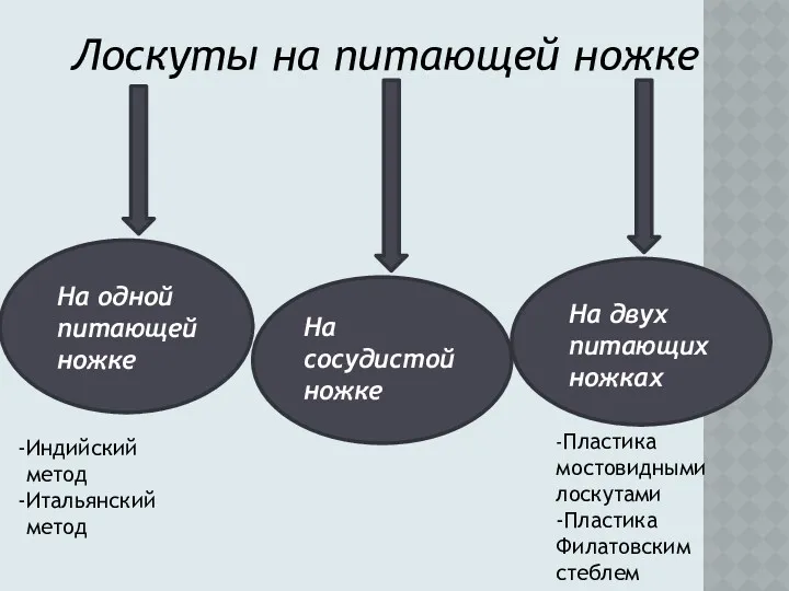 Лоскуты на питающей ножке На одной питающей ножке На двух