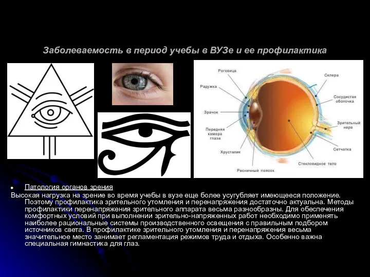 Заболеваемость в период учебы в ВУЗе и ее профилактика Патология органов зрения Высокая