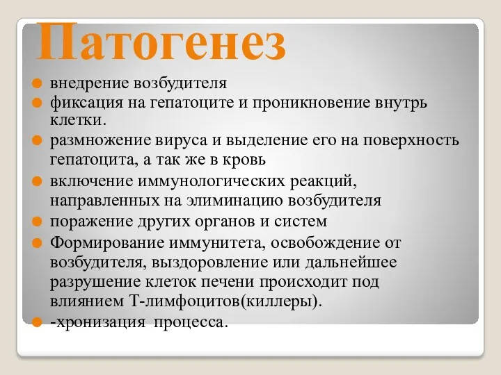 Патогенез внедрение возбудителя фиксация на гепатоците и проникновение внутрь клетки. размножение вируса и