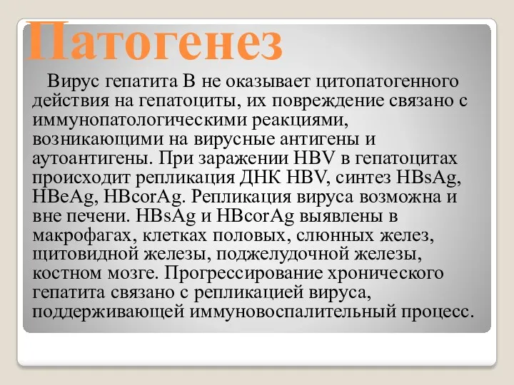 Патогенез Вирус гепатита В не оказывает цитопатогенного действия на гепатоциты, их повреждение связано