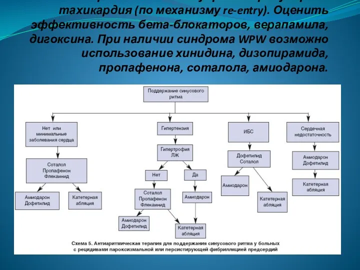 Пароксизмальная суправентрикулярная тахикардия (по механизму re-entry). Оценить эффективность бета-блокаторов, верапамила,