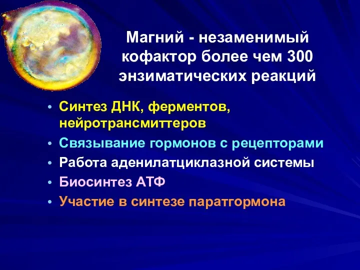 Магний - незаменимый кофактор более чем 300 энзиматических реакций Синтез