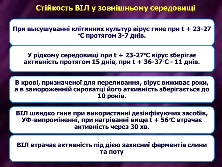 Стійкость ВІЛ у зовнішньому середовищі