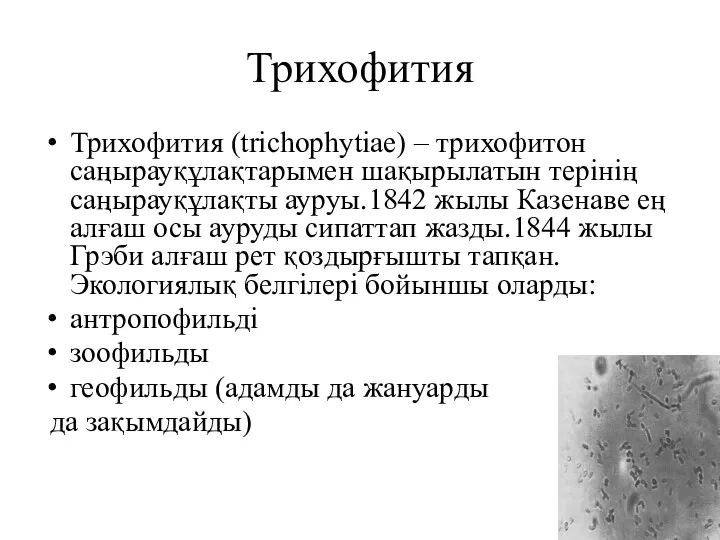 Трихофития Трихофития (trichophytiae) – трихофитон саңырауқұлақтарымен шақырылатын терінің саңырауқұлақты ауруы.1842