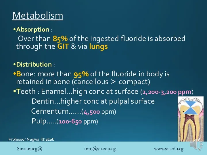 Metabolism Absorption : Over than 85% of the ingested fluoride is absorbed through