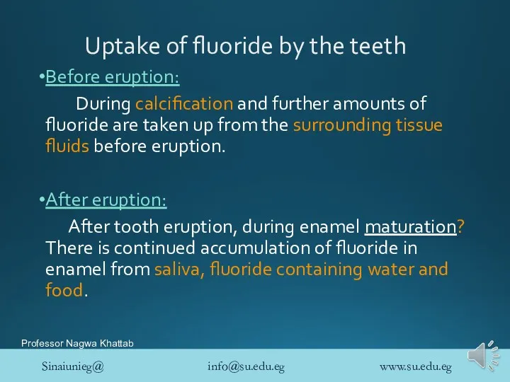 Uptake of fluoride by the teeth Before eruption: During calcification and further amounts