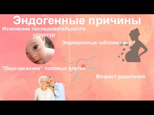 Эндогенные причины Изменение последовательности структур "Перезревание" половых клеток Эндокринные заболевания Возраст родителей