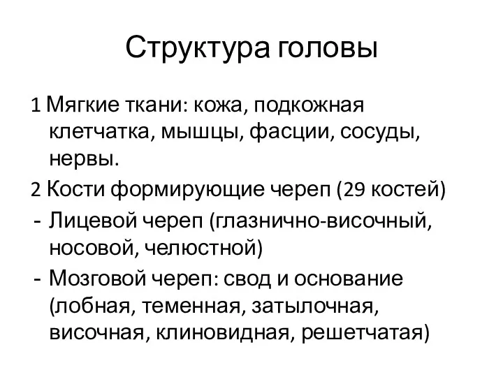 Структура головы 1 Мягкие ткани: кожа, подкожная клетчатка, мышцы, фасции,