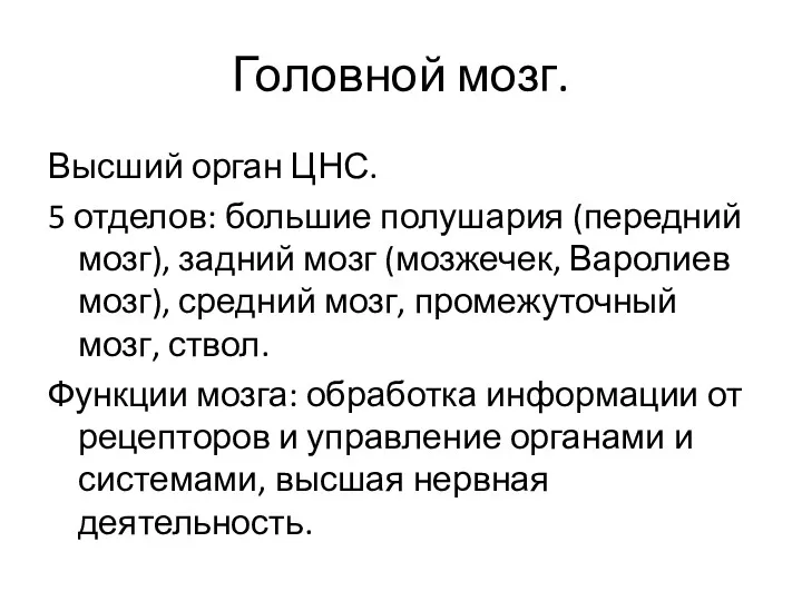 Головной мозг. Высший орган ЦНС. 5 отделов: большие полушария (передний