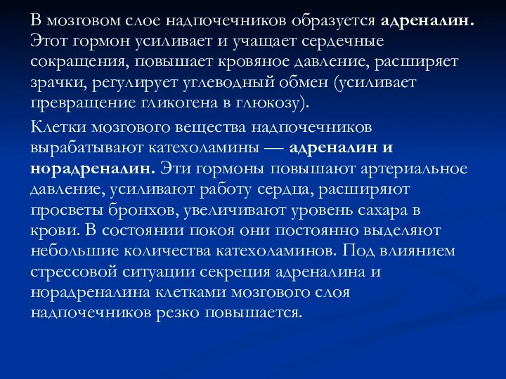 В мозговом слое надпочечников образуется адреналин. Этот гормон усиливает и