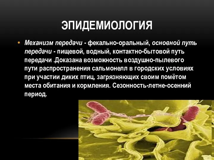 ЭПИДЕМИОЛОГИЯ Механизм передачи - фекально-оральный, основной путь передачи - пищевой,