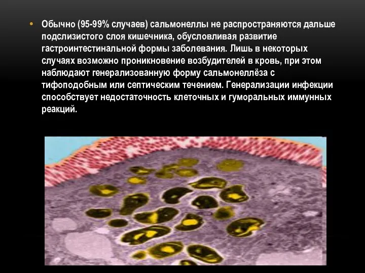 Обычно (95-99% случаев) сальмонеллы не распространяются дальше подслизистого слоя кишечника,