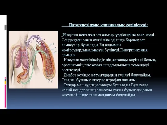 Патогенезі және клиникалық көріністері: Инсулин көптеген зат алмасу үрдістеріне әсер