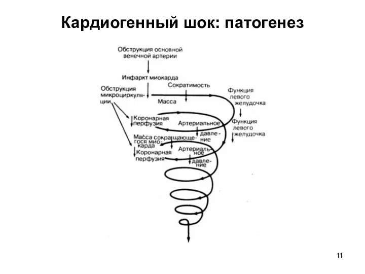 Кардиогенный шок: патогенез