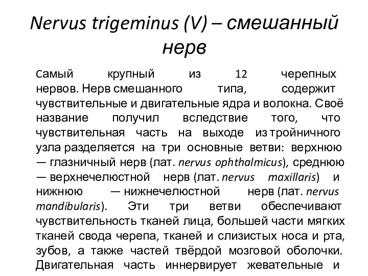 Nervus trigeminus (V) – смешанный нерв Cамый крупный из 12 черепных нервов. Нерв