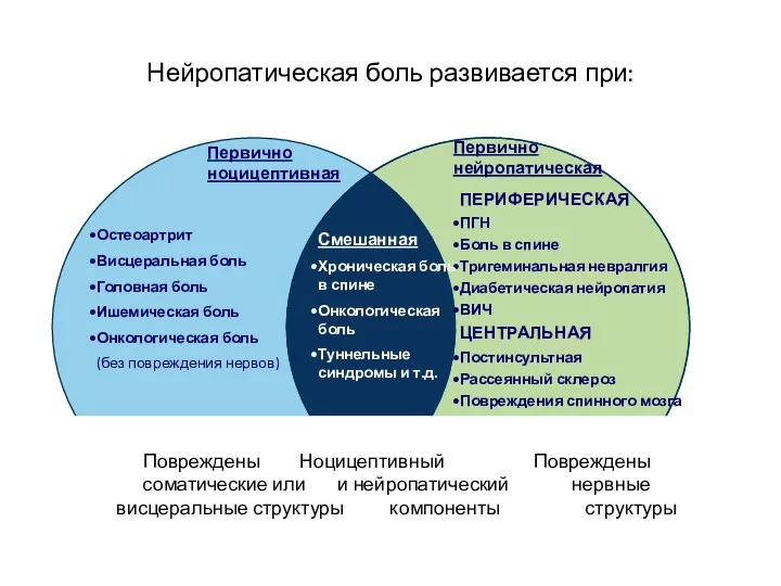 Нейропатическая боль развивается при: Первично ноцицептивная Первично нейропатическая Остеоартрит Висцеральная