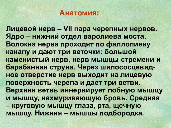 Анатомия: Лицевой нерв – VII пара черепных нервов. Ядро –