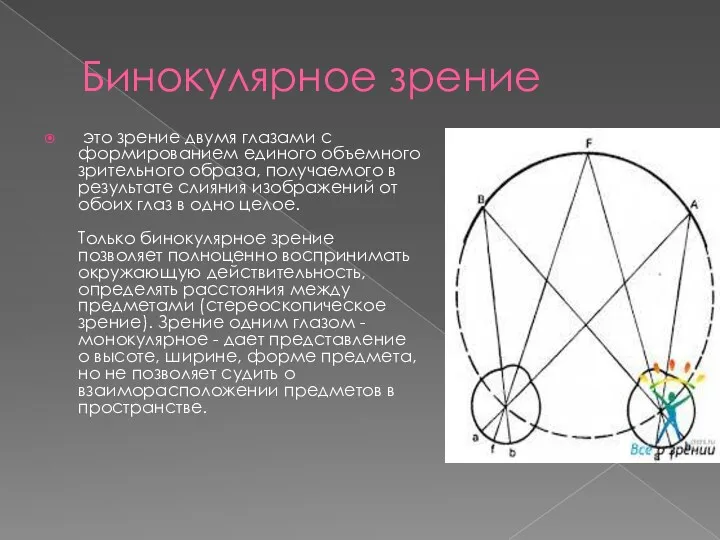 Бинокулярное зрение это зрение двумя глазами с формированием единого объемного