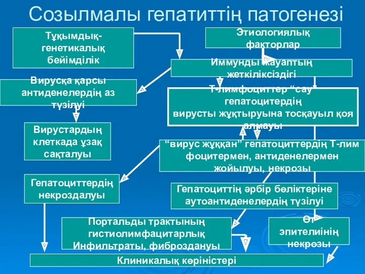 Созылмалы гепатиттің патогенезі Этиологиялық факторлар Тұқымдық-генетикалық бейімділік Иммунды жауаптың жеткіліксіздігі