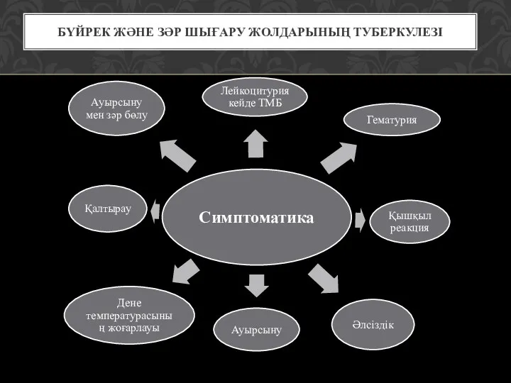 БҮЙРЕК ЖӘНЕ ЗӘР ШЫҒАРУ ЖОЛДАРЫНЫҢ ТУБЕРКУЛЕЗІ